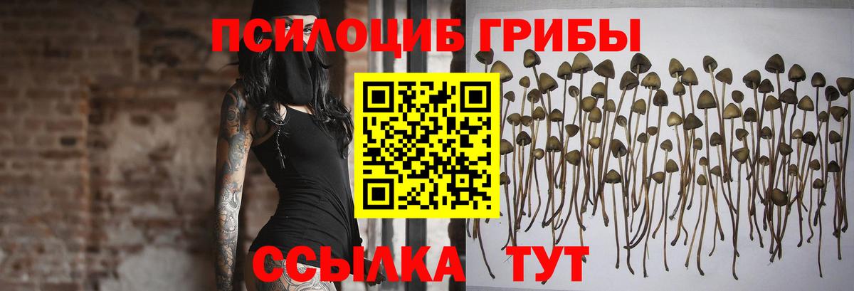 Псилоцибиновые грибы ЛСД  Вход с VPN  купить  цена  Галлюциногенные грибы Psilocybine cubensis  Бахчисарай 